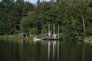 Palmen an der Wakenitz?